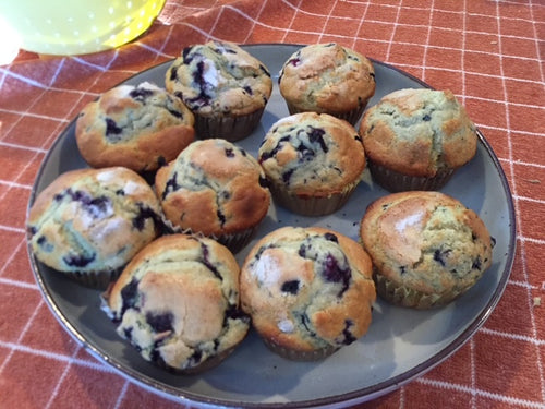 Blueberry Muffin Box
